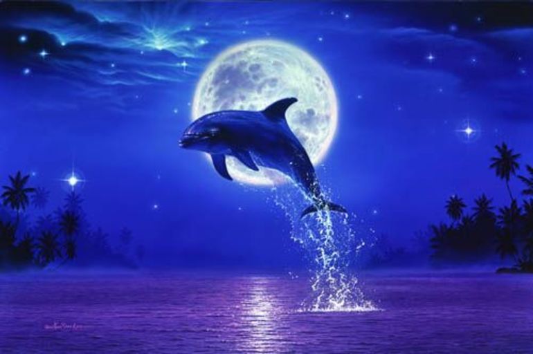 К чему снятся дельфины по ночам