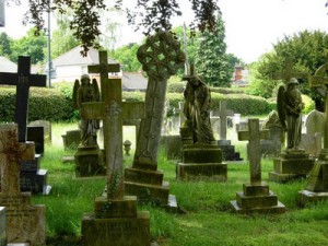 кресты на кладбище