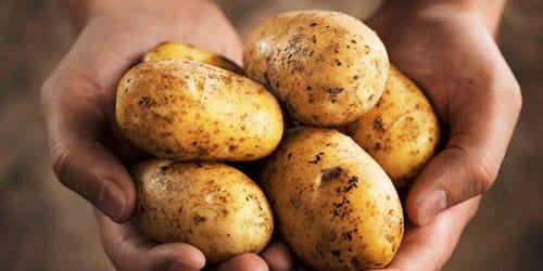картошка в руке