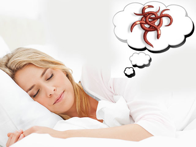Сонник паразиты: к чему снится и что означает сон?