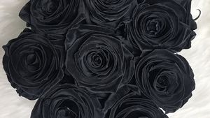 Черные и темные розы